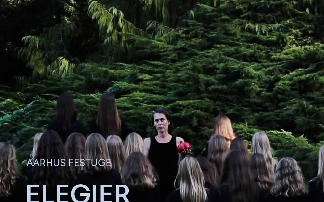 Elegier over jorden